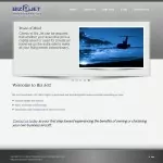 Website Build-Biz Jet Consultants-Home apge