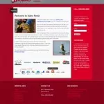 Website Makeover-Idaho Reelz-Home Page
