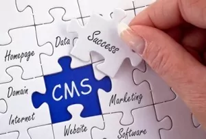 WordPress CMS Websites